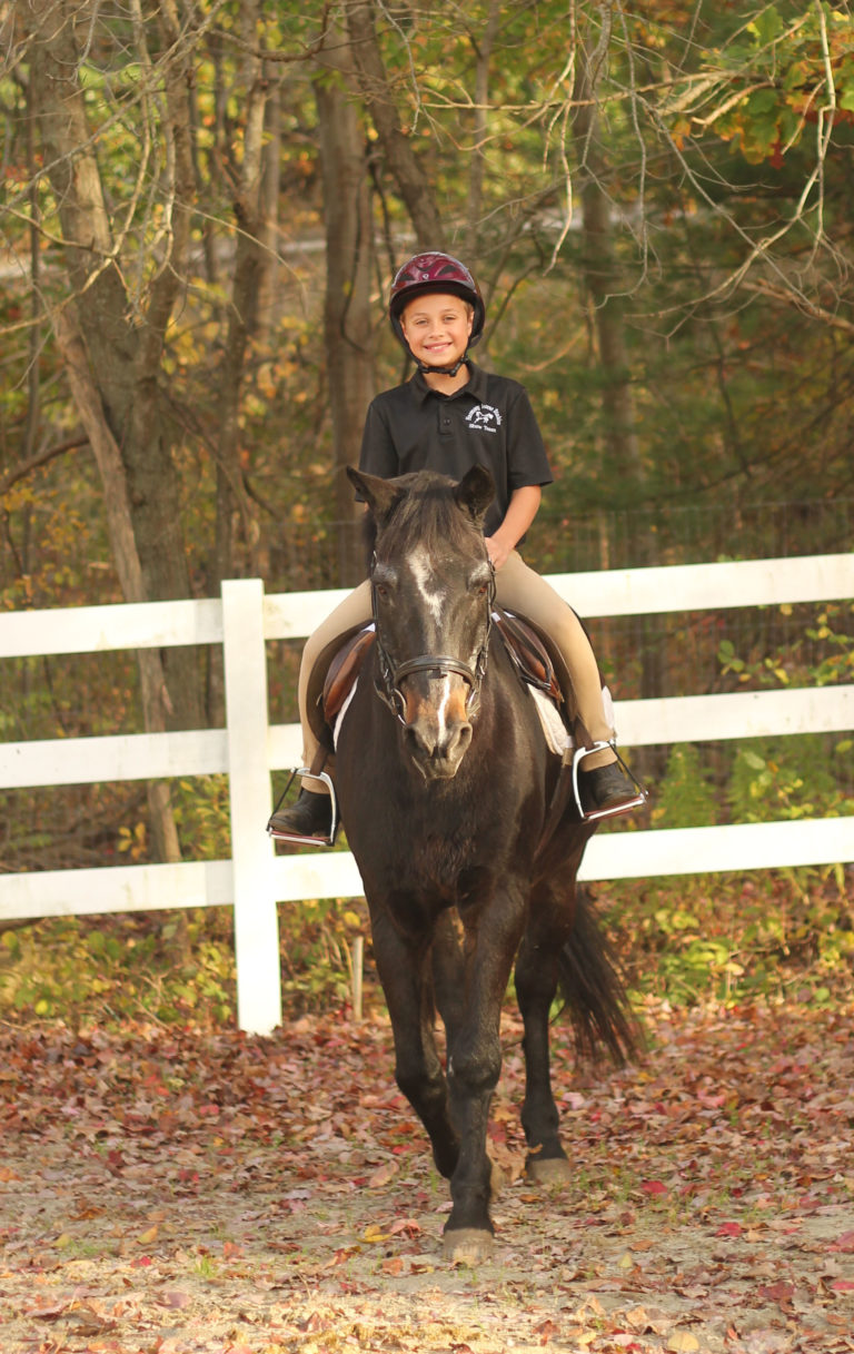 Lessons Harmony Horse Stables
