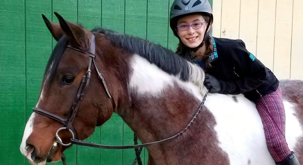 Lessons Harmony Horse Stables